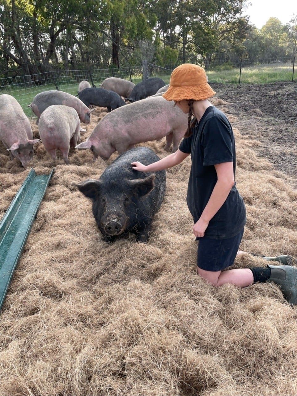 Meg at an animal sanctuary